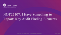 I Have Something to Report: Key Audit Finding Elements icon