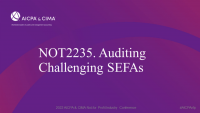 Auditing Challenging SEFAs