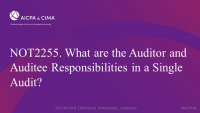 What are the Auditor and Auditee Responsibilities in a Single Audit?