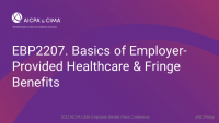 Basics of Employer-Provided Healthcare & Fringe Benefits icon