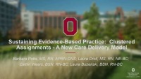 Sustaining Evidence-Based Practice: Clustered Assignments a New Care Delivery Model
