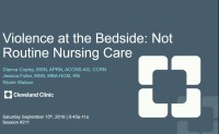 Violence at the Bedside: Not Routine Nursing 