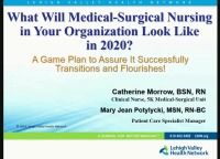 What Will Medical-Surgical Nursing in Your Organization Look Like in 2020? A Game Plan to Assure It Successfully Transitions and Flourishes!