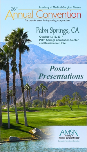 2017 Poster Presentations icon