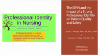Safety and Quality Begins with a Strong Professional Identity: Report from Nurses in Practice - A Mixed Methods Study