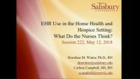 EHR Use in the Home Health and Hospice Setting: What Do the Nurses Think?