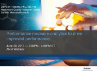 Performance Measure Analytics to Drive Improved Performance