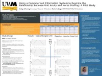 Using a Computerized Information System to Examine the Relationship Between Unit Patient Acuity and Nurse Staffing: A Pilot Study icon