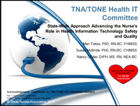 Statewide Approach Advancing the Nurse's Role in Health Information Technology Safety and Quality