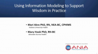 Using Information Modeling to Support Wisdom in Practice