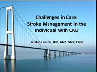 Challenges in Care: Stroke Management in the Individual with CKD icon