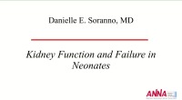 Kidney Function and Failure in Neonates 