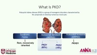 Kidneys Inside and Out: Polycystic Kidney Disease