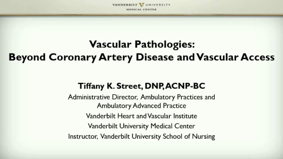 Vascular Pathologies: Beyond Coronary Artery Disease and Vascular Access icon