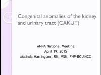 Spotlight on Pediatric Nephrology Issues - Congenital Anomalies of the Kidney and Urinary Tract
