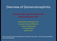 Differentiation of Glomerular Diseases and Their Diagnosis icon