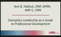 Tri-Level Practice of the Nephrology APRN: Exemplary Leadership as a Guide for Professional Development