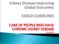 Chronic Kidney Disease: KDIGO Guidelines: Update on Newly Published Guidelines and How They Will Guide Practice