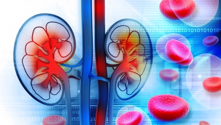 Chronic Kidney Disease