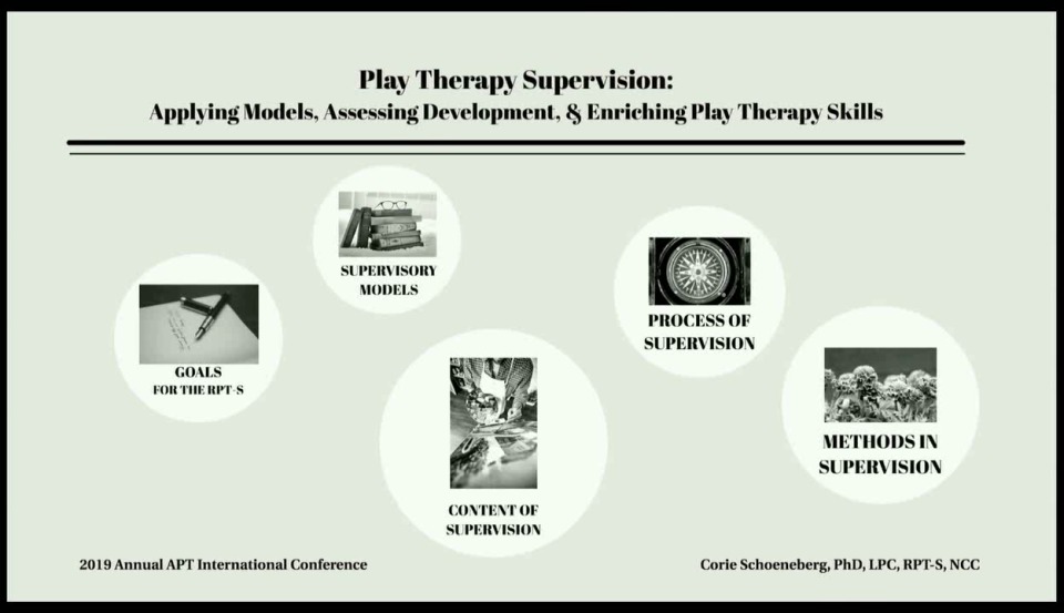 Supervisor Training Play Therapy Supervision Applying Models Assessing Development And