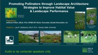 Promoting Pollinators Through Landscape Architecture: Strategies to Improve Habitat Value & Landscape Performance - 1.0 PDH (LA CES/HSW)