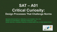 Critical Curiosity: Design Processes that Challenge Norms - 1.25 PDH (LA CES/HSW)