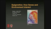 The Effect of Nutrition on Epigenetic Status, Growth, and Health – Practical Information for the Clinician