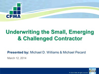 Underwriting the Small, Emerging and Challenged Contractor icon