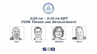FCPA Trends and Developments icon