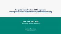 The spatial reconstruction of RNA expression and sequences for biomarker discovery and mutation tracing