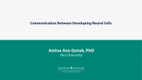Communication Between Developing Neural Cells 