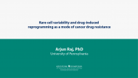 Rare cell variability and drug-induced reprogramming as a mode of cancer drug resistance