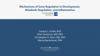Mechanisms of Gene Regulation in Development, Metabolic Regulation, and Inflammation icon