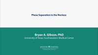 Phase Separation in the Nucleus