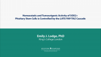 Homeostatic and Tumourigenic Activity of SOX2+ Pituitary Stem Cells is Controlled by the LATS/YAP/TAZ Cascade