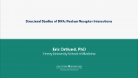 Structural Studies of DNA: Nuclear Receptor Interactions