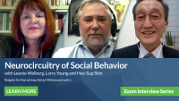 Neurocircuitry of Social Behavior