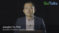 Deciphering Warburg Effect: The Connection between Metabolism, Epigenetics and Tumor Differentiation