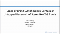 Short Talk: Tumor-Draining Lymph Nodes Contain an Untapped Reservoir of Stem-Like CD8 T Cells icon
