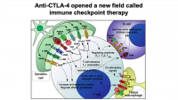From the Clinic to the Lab: Investigating Mechanisms of Response and Resistance to Immune Checkpoint Therapy icon