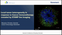 Short Talk: Local Heterogeneity of Response to CIT: Learning from the STAMP Live Imaging Model icon