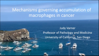 Mechanisms Governing Accumulation of Macrophages in Cancer icon