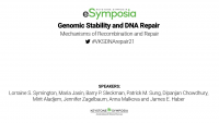 Short Talk: Homologous Recombination Repair Domains: Function and Impact on Genome Stability icon