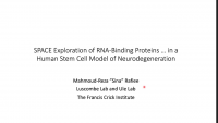 Short Talk: SPACE Exploration of RNA-Binding Proteins Reveals Diminished Chromatin-Binding of Mutant VCP in a Human Stem Cell Model of Neurodegeneration icon