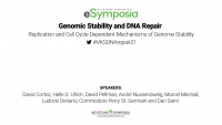 Mechanisms Driving the Rapid Evolution of Cancer Genomes icon
