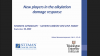 New Players in the Alkylation Damage Response icon