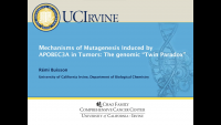 Short Talk: Mechanisms of Mutagenesis Induced by APOBEC3A in Tumors: The Genomic “Twin Paradox” icon