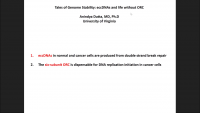 Strange Tales of Genomic Instability: eccDNAs and Life without ORC icon