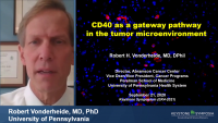 CD40 as a Gateway Pathway in the Tumor Microenvironment icon