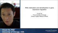 Keynote Address | Reversible RNA Methylation in Gene Expression Regulation icon